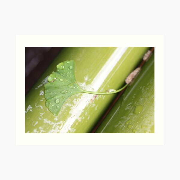green Japan Art Print
