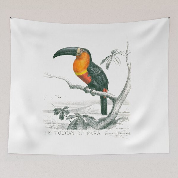 Item preview, Ariel Toucan designed and sold by philozei.