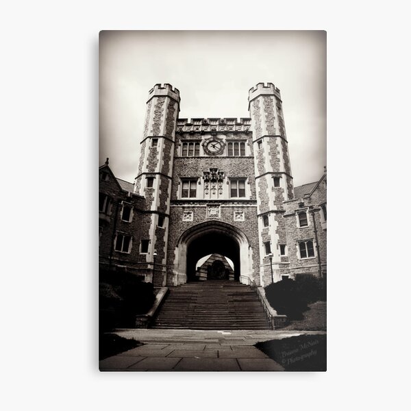 Princeton Metal Print