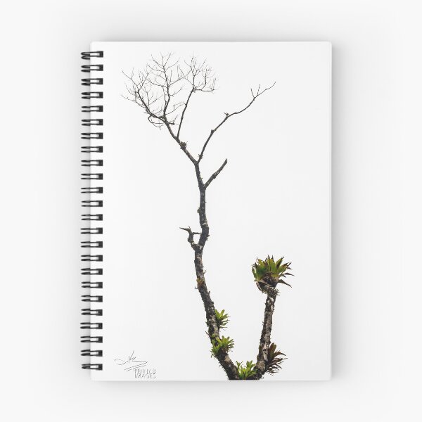 Item preview, ISLAND TREE designed and sold by KennyBImages899.