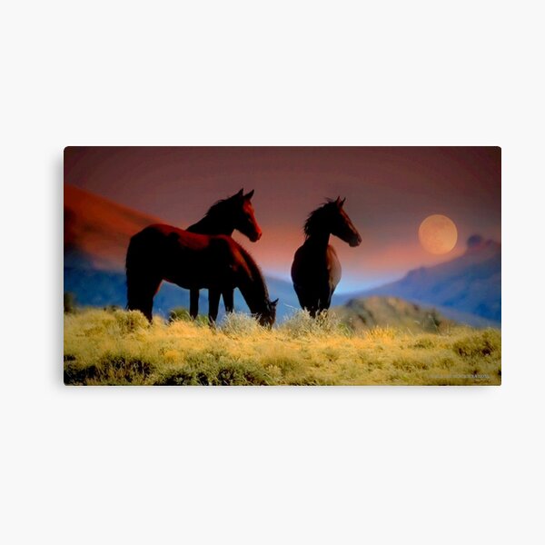 FEARLESS AND FREE THESE WILD HORSES ARE THE LUCKY ONES THEY BELONG TO NO ONE Canvas Print