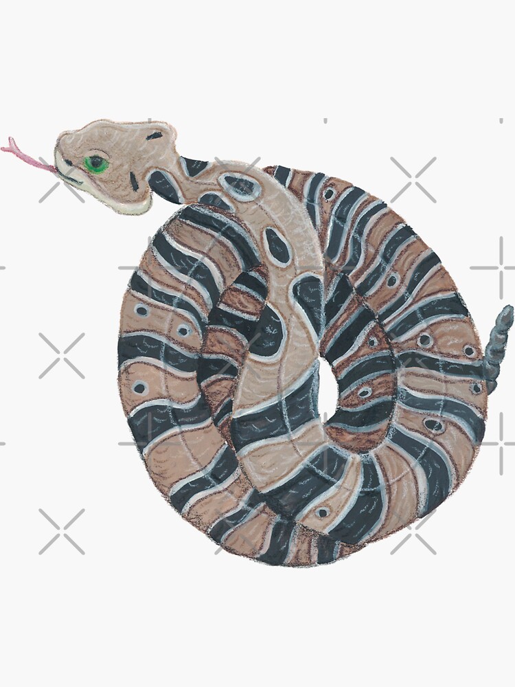 "Timber Rattlesnake" Sticker for Sale by theartsypark Redbubble