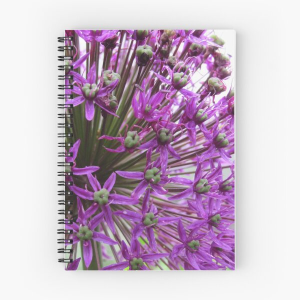 Item preview, Allium Aflatunense Plant designed and sold by WildandDivine.