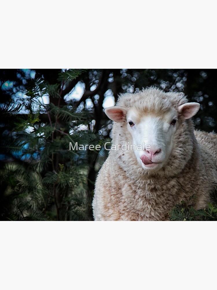 Tarjetas de felicitación «¡Cuidado con el lobo con piel de oveja!» de  alMara | Redbubble