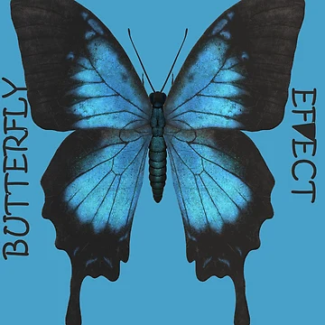 Artwork thumbnail, BUTTERFLY EFFECT by RokSIMPSON