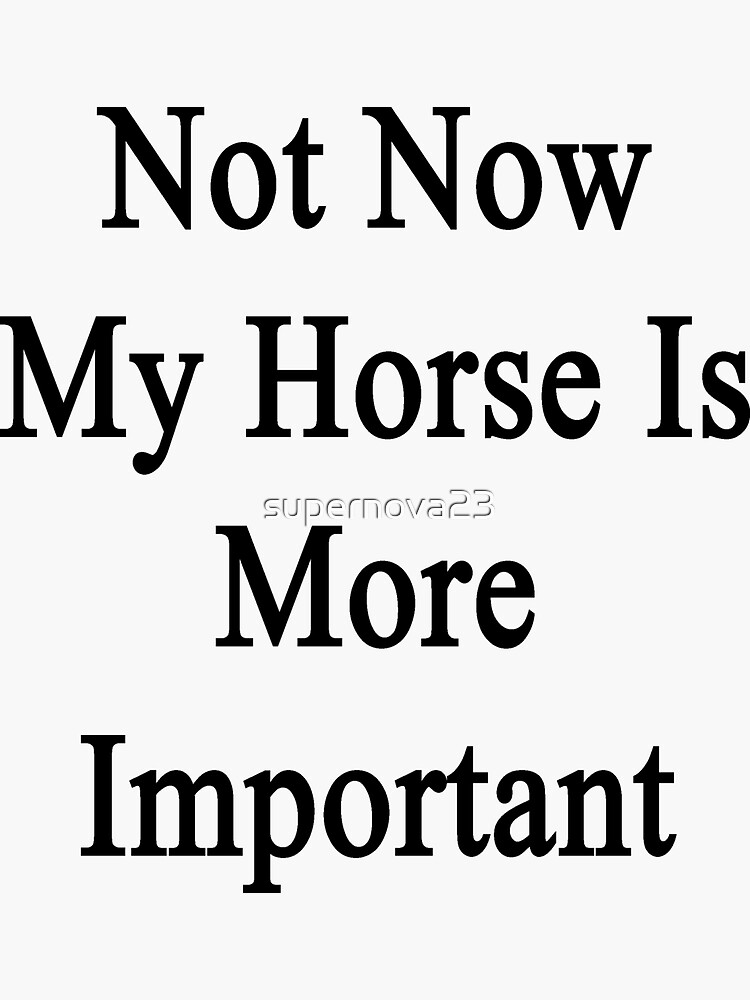 Not Now My Horse Is More Important by supernova23
