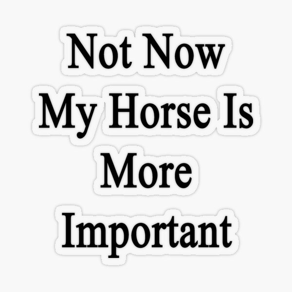 Not Now My Horse Is More Important Transparent Sticker