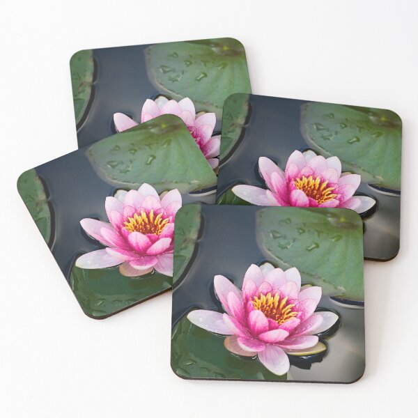 Item preview, Pink Water Lily designed and sold by bwatkinsphoto.