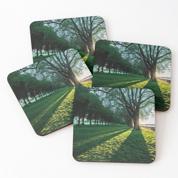 Item preview, Green trees shadows with sun rays, Wandsworth Park, Putney, London, UK designed and sold by HTPOP.
