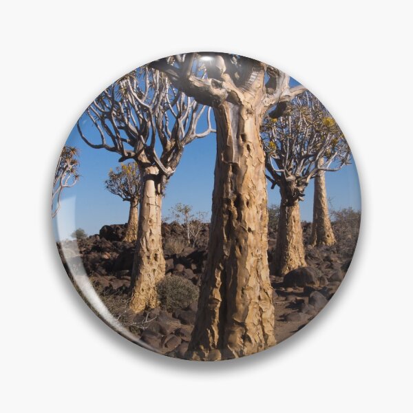 Item preview, Quiver trees, Namibia designed and sold by TrijnieD.
