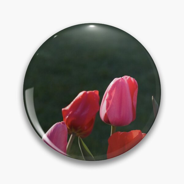 Artikelvorschau, Abend Tulpen entworfen und verkauft von Adam Bykowski.