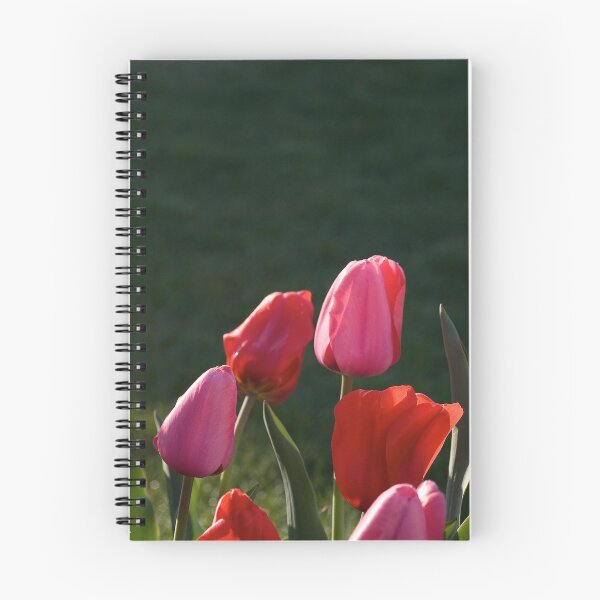 Item preview, Evening Tulips designed and sold by Adam Bykowski.