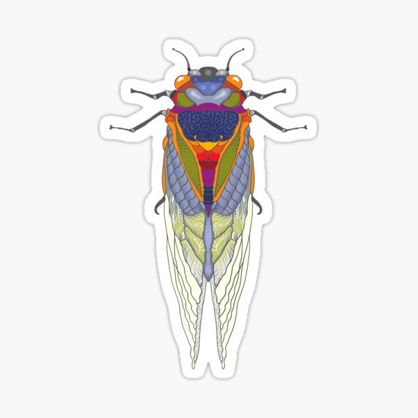 Item preview, Cicada designed and sold by reneeci.