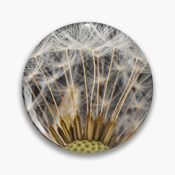 Item preview, Dandelion Half designed and sold by Nigel R Bell Photography.