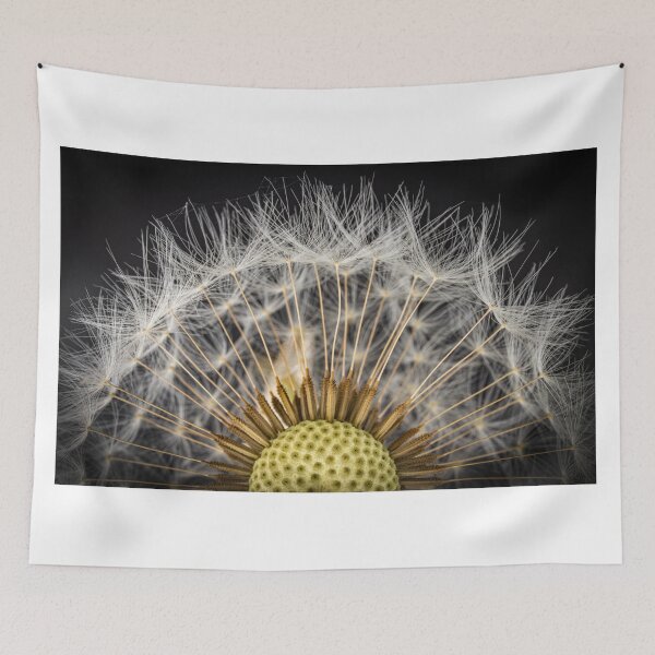 Item preview, Dandelion Half designed and sold by Nigel R Bell Photography.