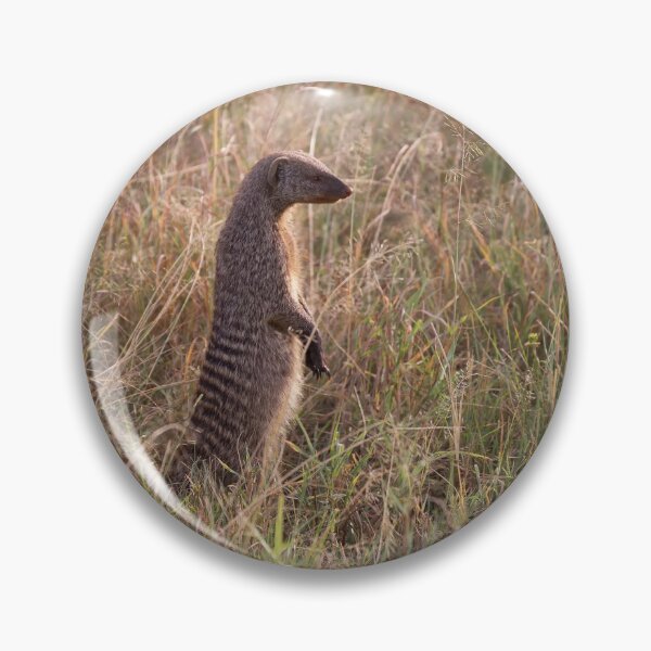 Item preview, Banded Mongoose (Mungos mungo) designed and sold by Yair Karelic.
