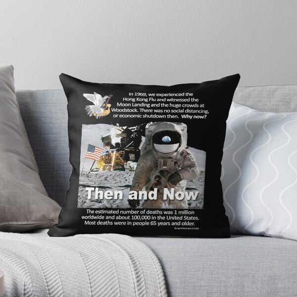 Then and Now Throw Pillow