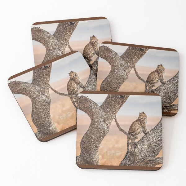 Item preview, Leopard in the Serengeti  designed and sold by Mitchell Grosky.