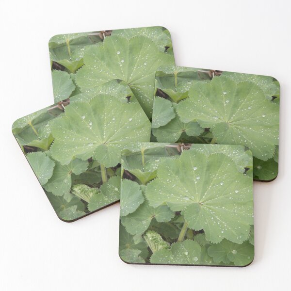 Item preview, Alchemilla mollis designed and sold by TrijnieD.