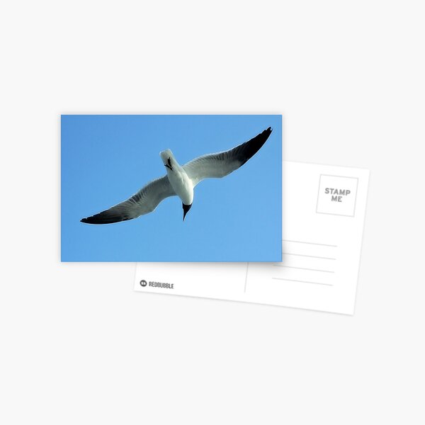 Item preview, Freedom designed and sold by SuddenJim.