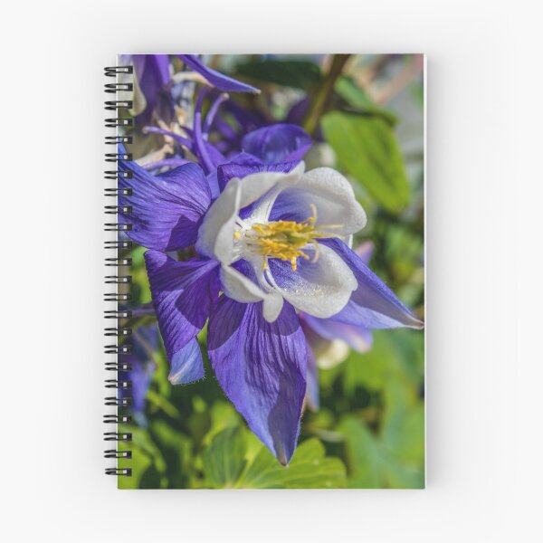 Item preview, Purple Flower designed and sold by Louise  Corr.
