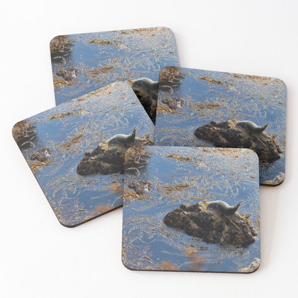 Item preview, Harbor Seal designed and sold by Yair Karelic.