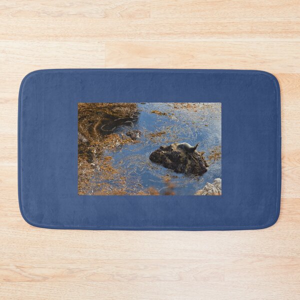 Item preview, Harbor Seal designed and sold by Yair Karelic.