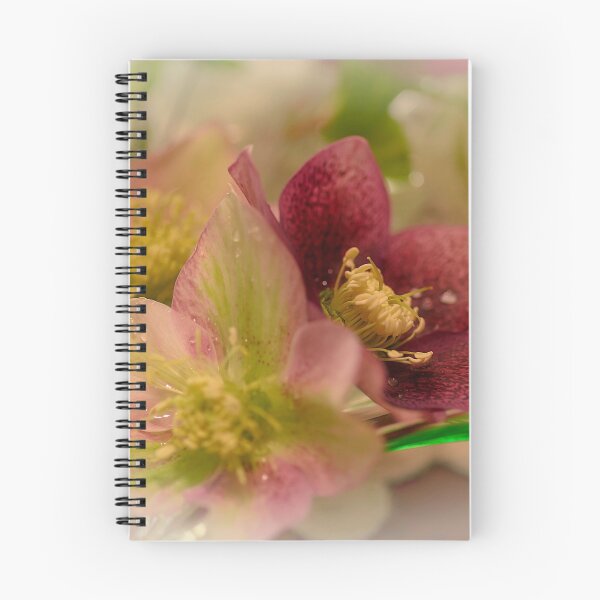 Item preview, Hellebore designed and sold by Bevlyn.