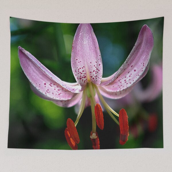 Item preview, Pink Martagon Lily 'Moonyeen' designed and sold by rvjames.