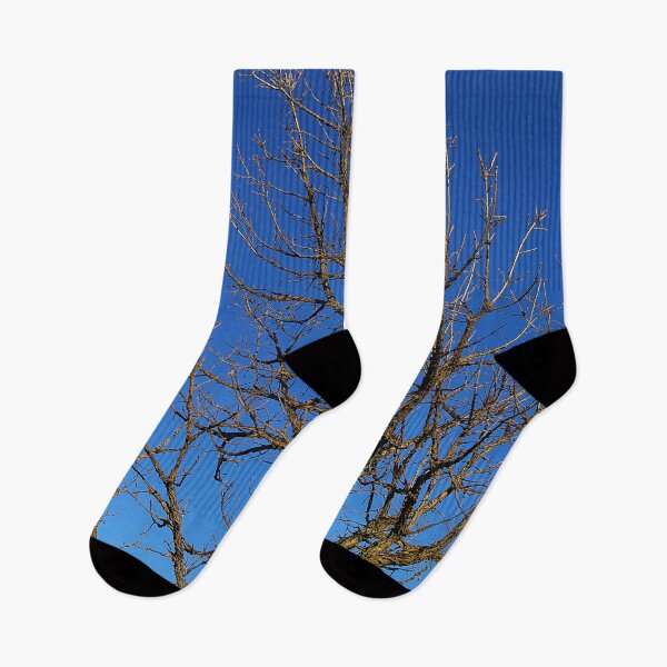 Item preview, Bur Oak, Quercus macrocarpa, Wisconsin tree, prairie, savanna designed and sold by rvjames.
