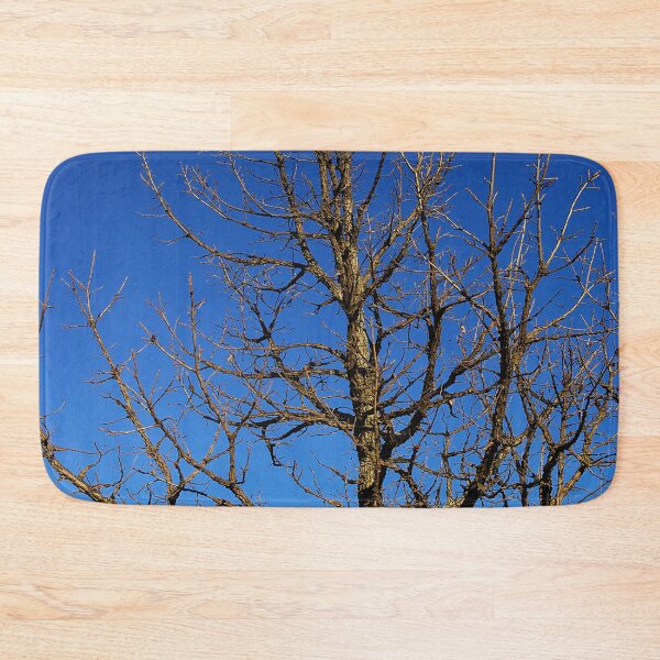 Item preview, Bur Oak, Quercus macrocarpa, Wisconsin tree, prairie, savanna designed and sold by rvjames.