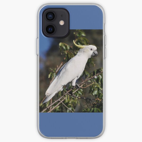 Sulphur-crested Cockatoo, Bungendore, Australia 2013 iPhone Soft Case