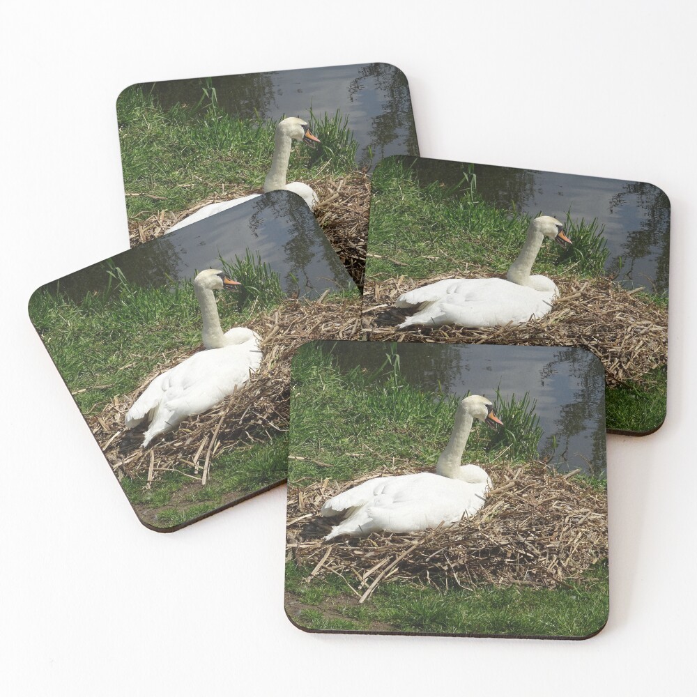 Item preview, Coasters (Set of 4) designed and sold by Rorymacve.
