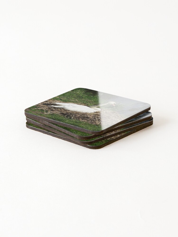Thumbnail 4 of 5, Coasters (Set of 4), Nesting Season designed and sold by Rorymacve.