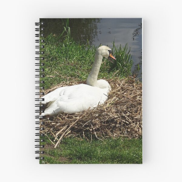 Item preview, Nesting Season designed and sold by Rorymacve.
