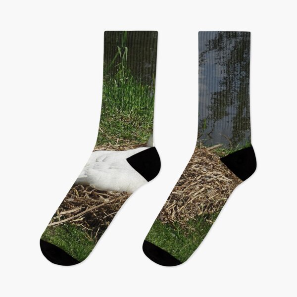 Item preview, Nesting Season designed and sold by Rorymacve.