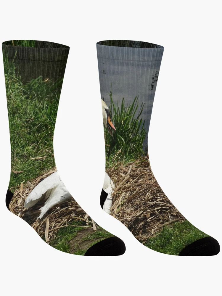 Thumbnail 3 of 5, Socks, Nesting Season designed and sold by Rorymacve.