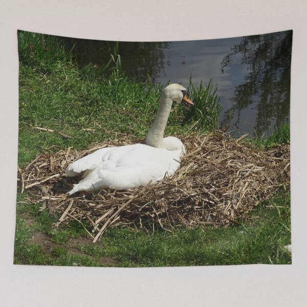 Item preview, Nesting Season designed and sold by Rorymacve.