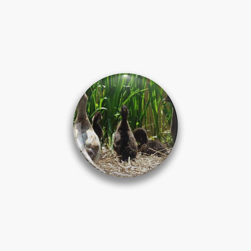 Item preview, Pin designed and sold by Rorymacve.
