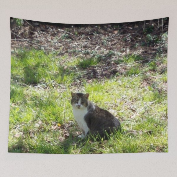 Item preview, Sunshine Kitty designed and sold by MooseDogPhotos.