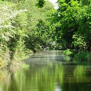Artwork thumbnail, Natural Passage by Rorymacve
