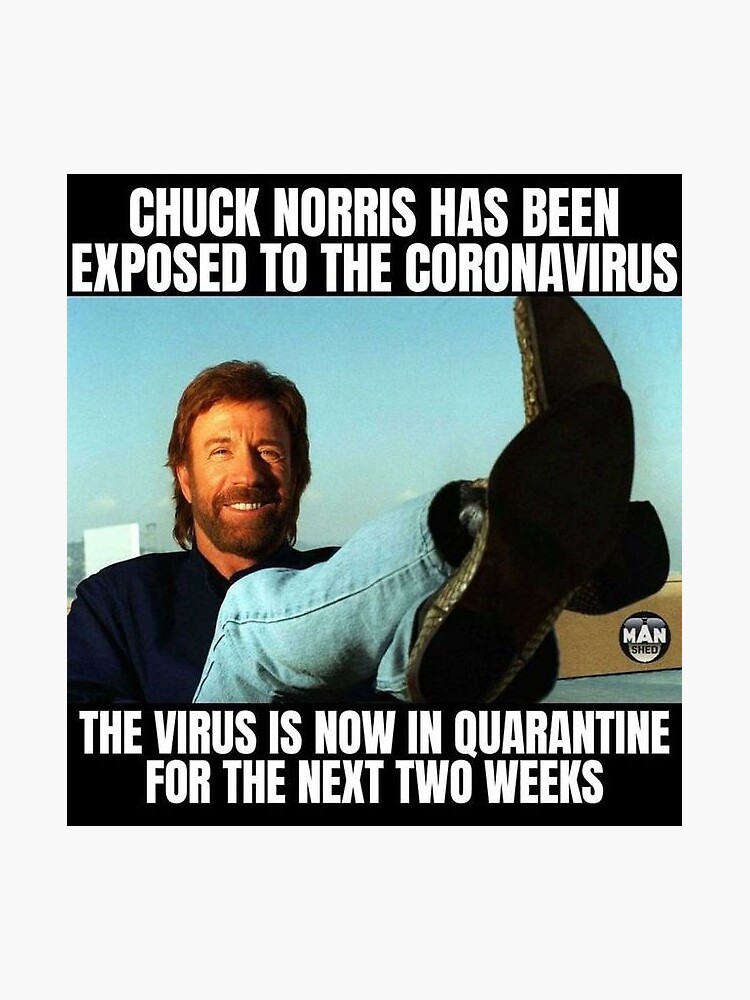 chuck norris barba meme