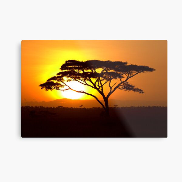 Serengeti Wall Art | Redbubble