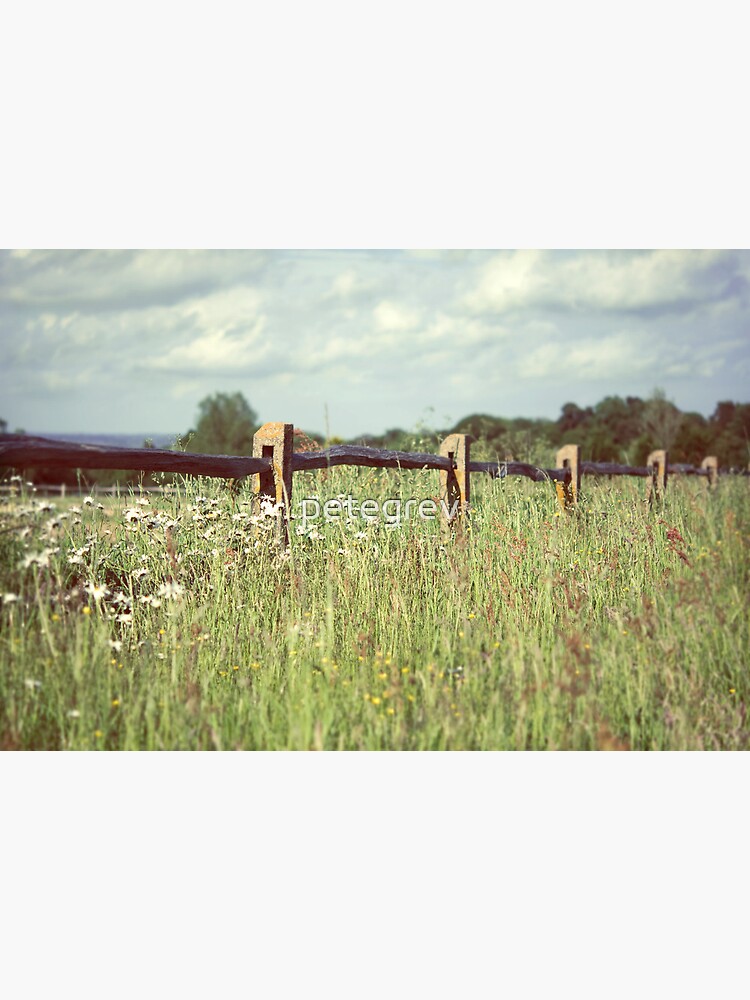 Day 335 - 9th June 2012 by petegrev