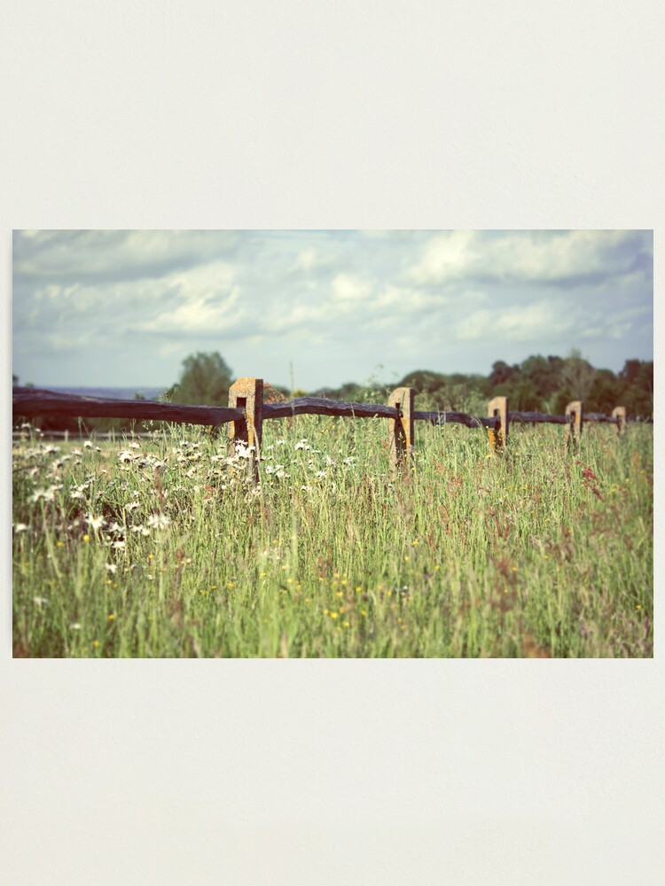 Alternate view of Day 335 - 9th June 2012 Photographic Print