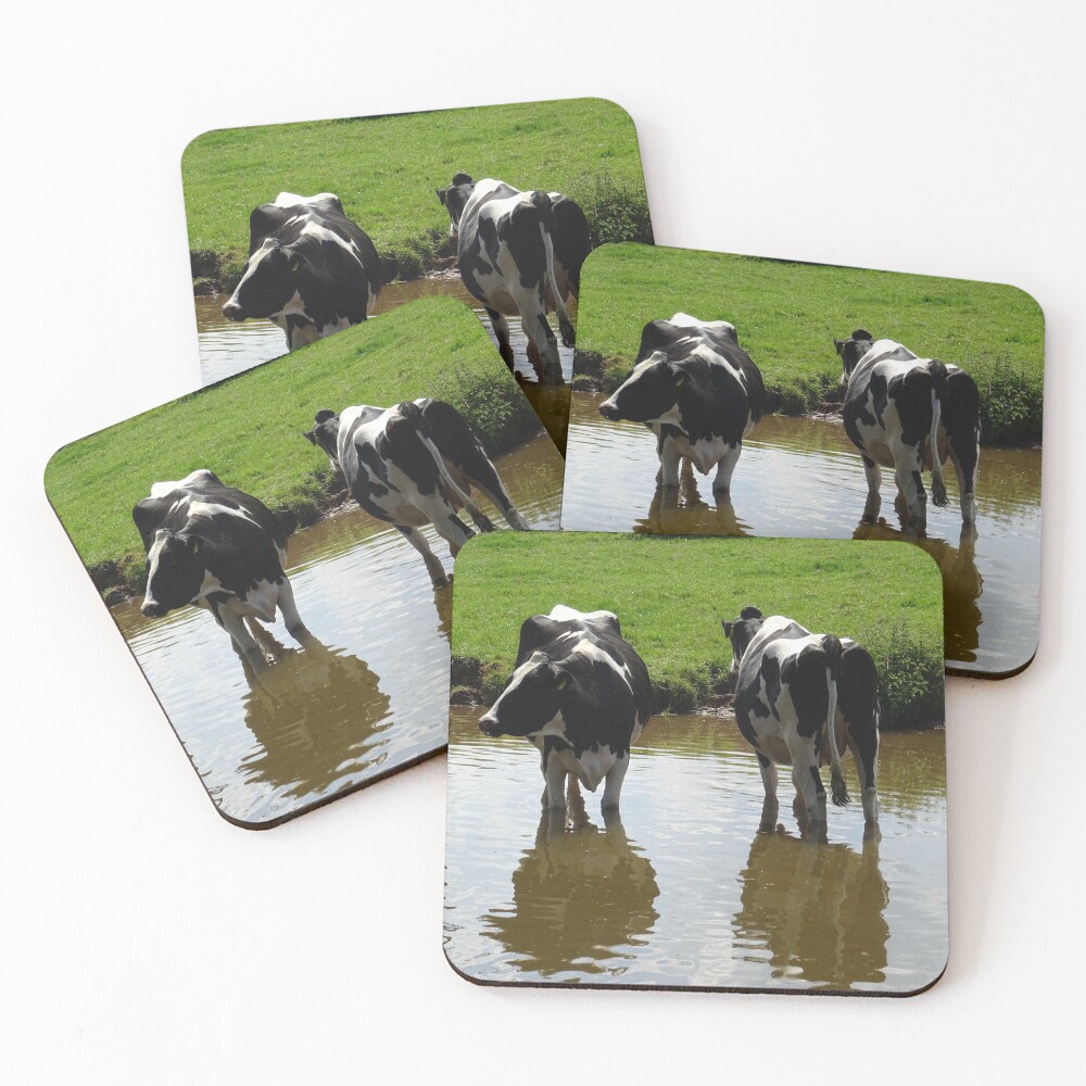 Item preview, Coasters (Set of 4) designed and sold by Rorymacve.
