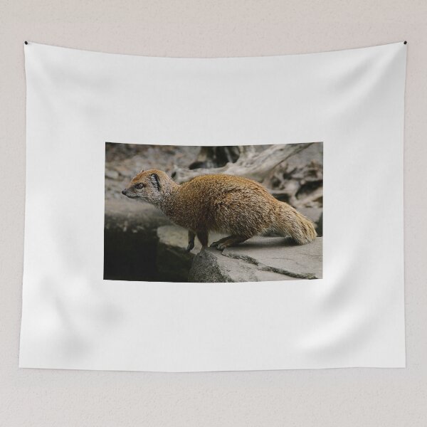 Item preview, Little Miss Mongoose designed and sold by Ladymoose.