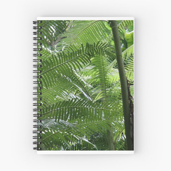 Item preview, Amongst The Tree Ferns designed and sold by coffeebean.