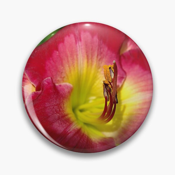 Item preview, Rich red daylily Joan Derifield designed and sold by rvjames.