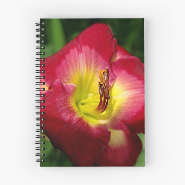 Item preview, Rich red daylily Joan Derifield designed and sold by rvjames.